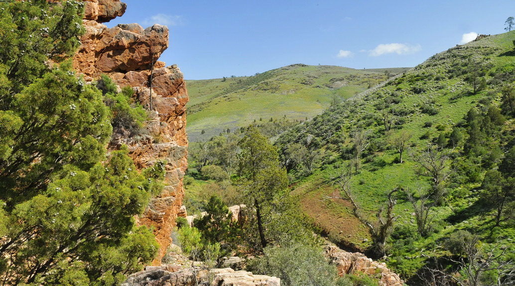 Rocky Pinnacles Overlooking Grassy Hills And Valleys, Habitat Of The Yellow Footed Rock Wallaby