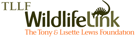 Tllf Wildlife Link Logo 467x130 Tony Lisette Lewis Foundation