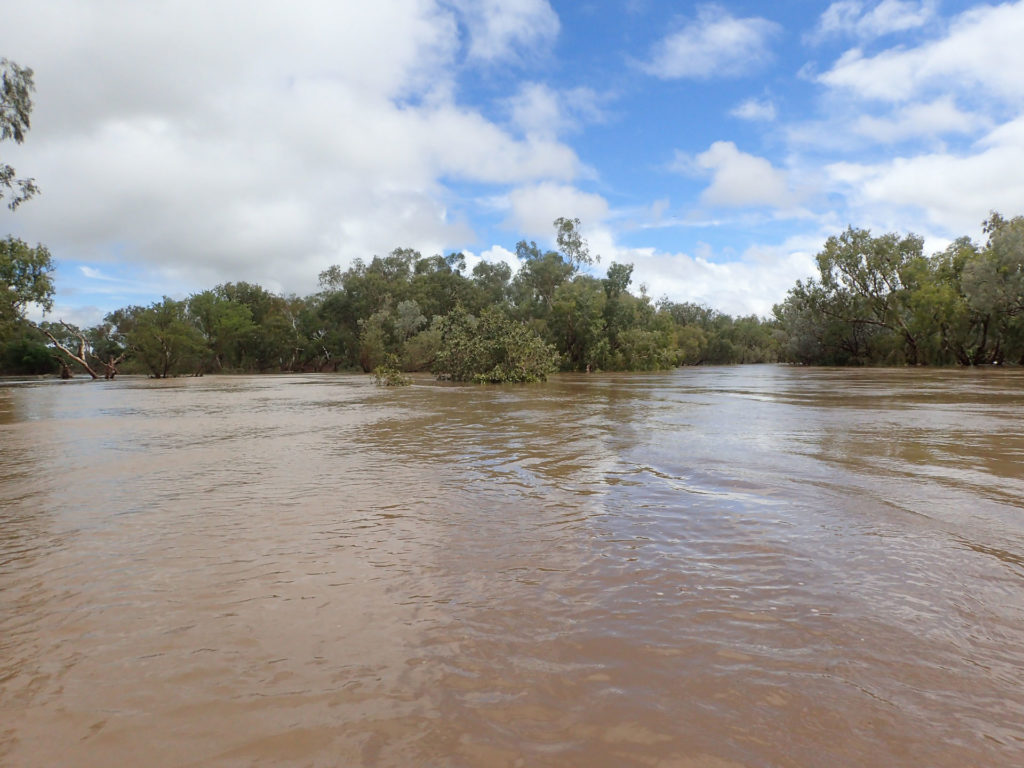 The Junction Of The Adock And Fitzroy Martuwarra Rivers