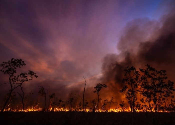 Over 260,000 hectares on Piccaninny Plains Wildlife Sanctuary have been impacted by arson during the late dry season (September–December) since 2014.