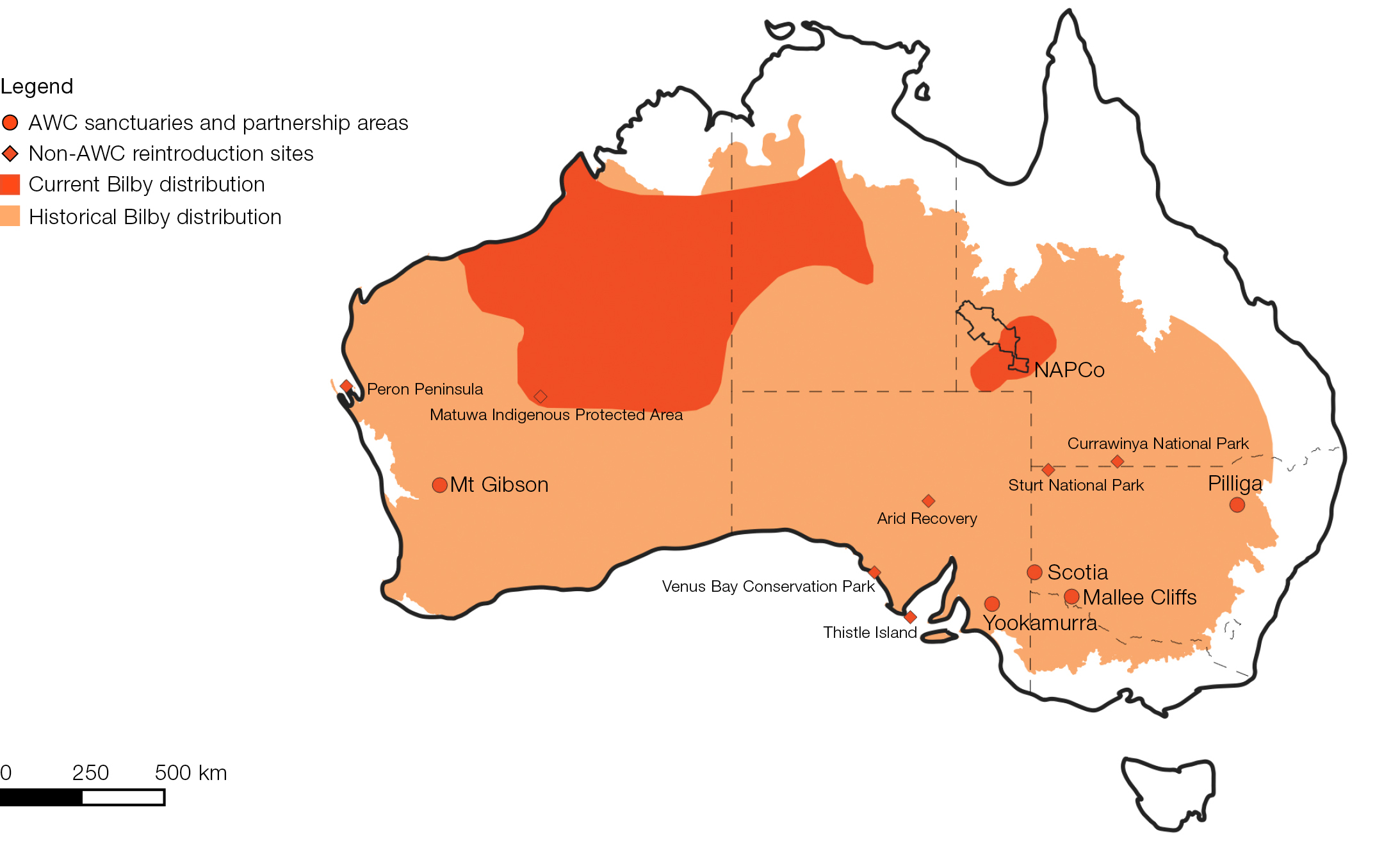 Historical and current Bilby distribution. AWC has established reintroduced Bilby populations at five sanctuaries and partnership areas within the marsupial’s former range. Historical distribution based on Southgate (1990) and Woinarski et al (2014) and current distribution based on Southgate (1990), Woinarski et al (2014) and Commonwealth Government (2022).