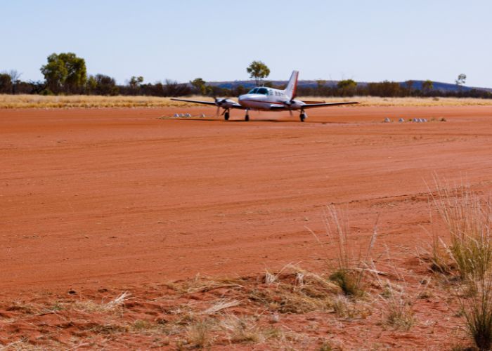 Thirty four Bilbies flew from Currawinya National Park in Queensland to Newhaven Wildlife Sanctuary near Alice Springs via a Chart Air flight.